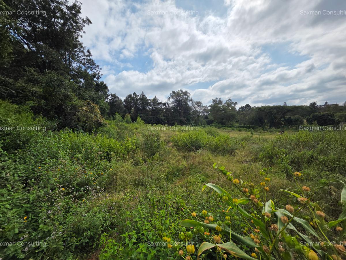 Land in Karen - 4