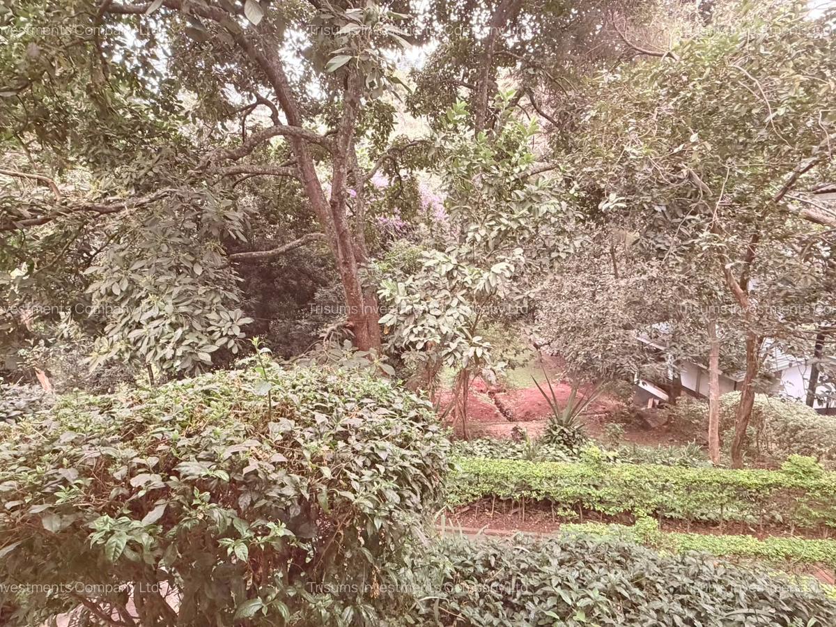 1 ac Land in Spring Valley - 2