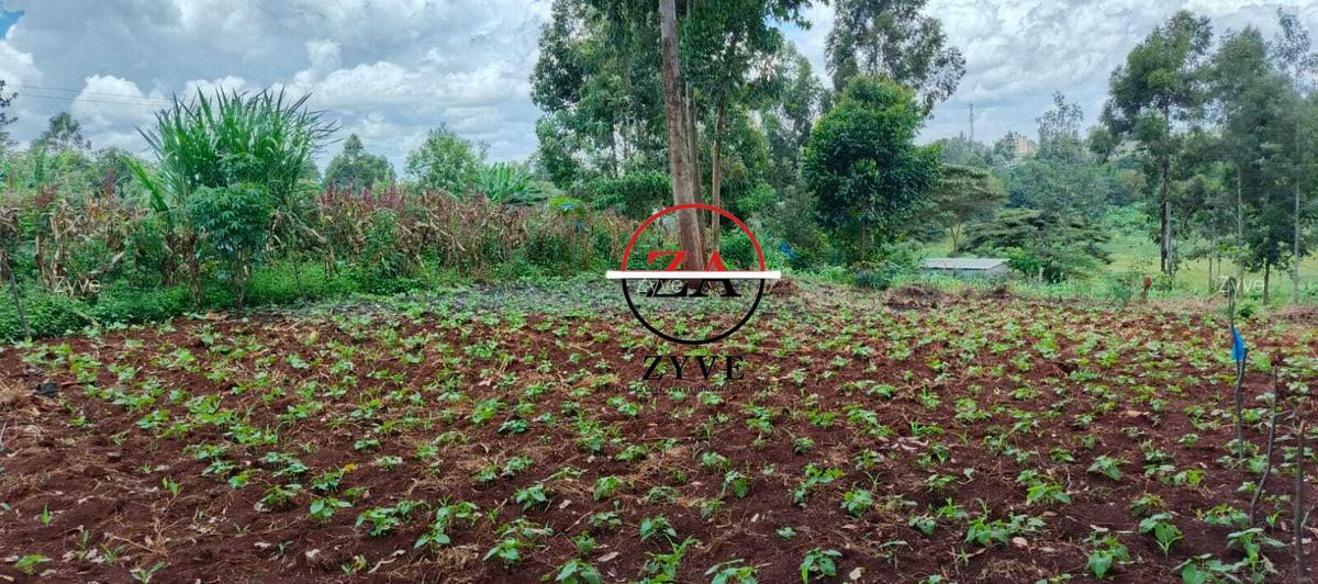 0.125 ac Land at Off Ruaka Banana Road - 3