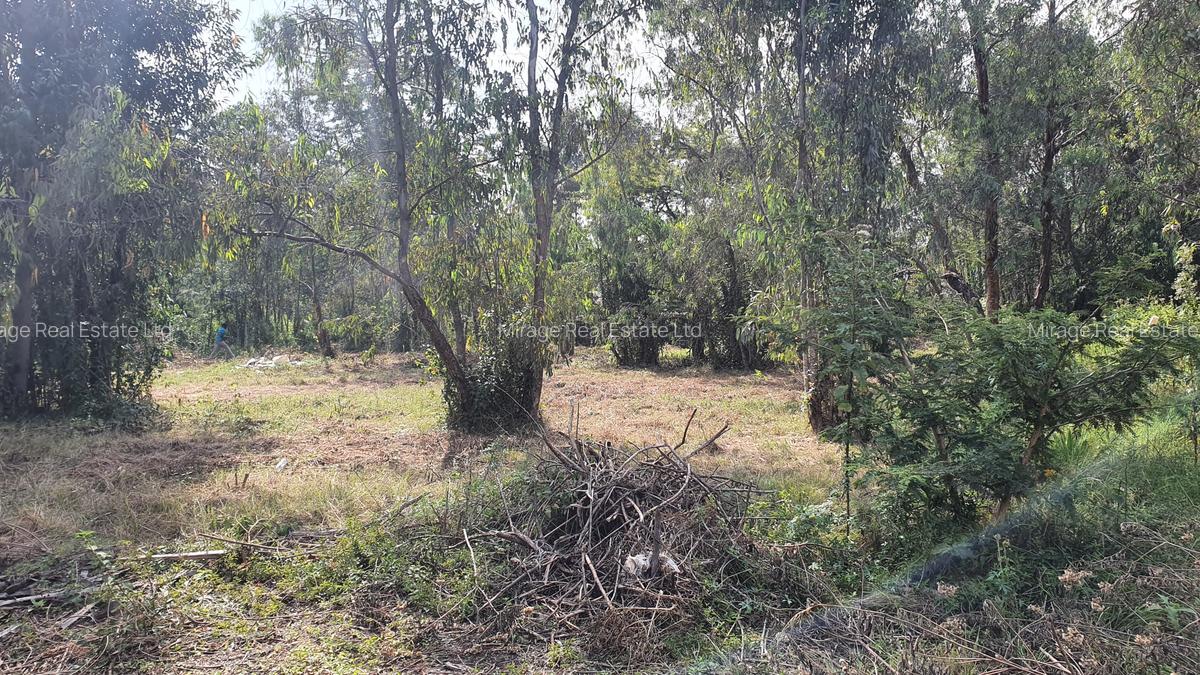 Land in Karen - 3