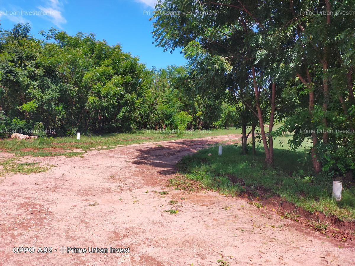 Land in Vipingo - 7