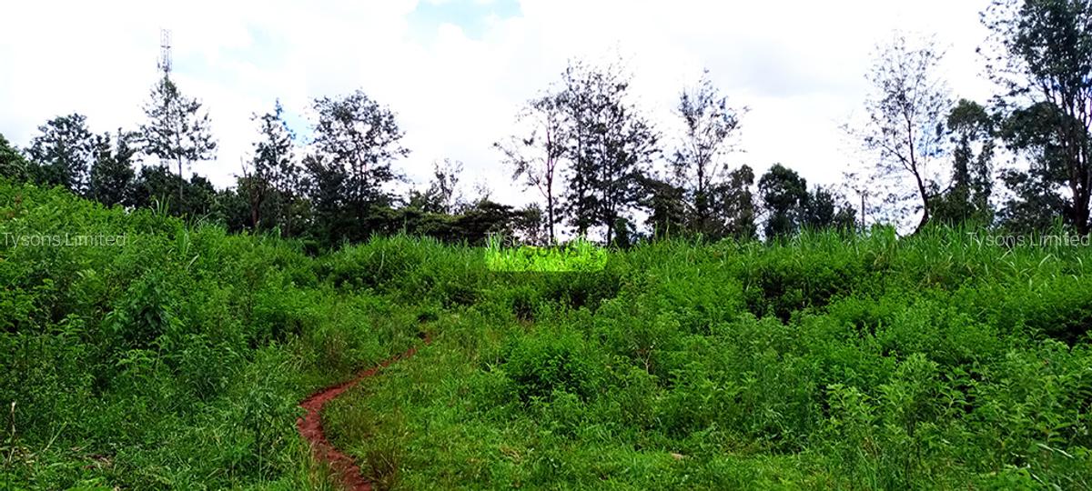 0.64 ac Residential Land in Thindigua - 5