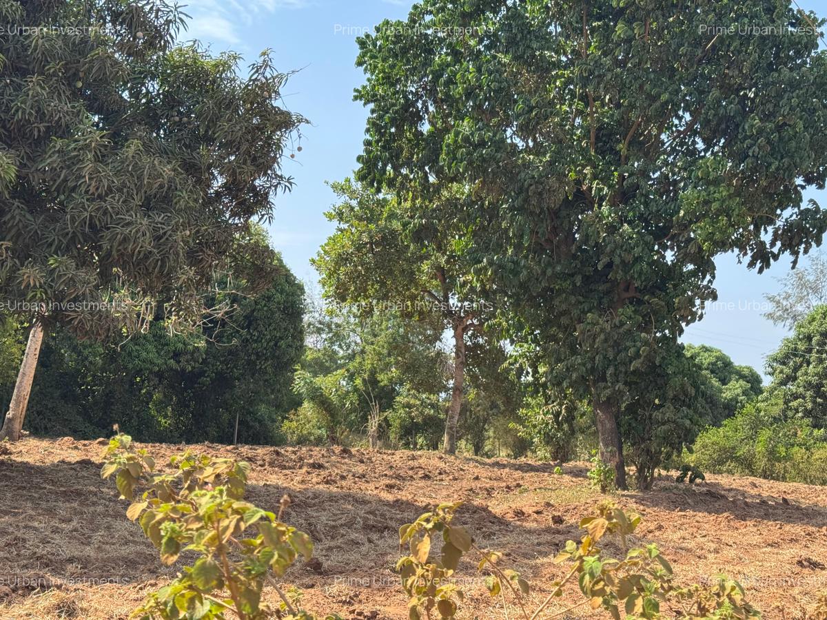 Land in Mtwapa - 18
