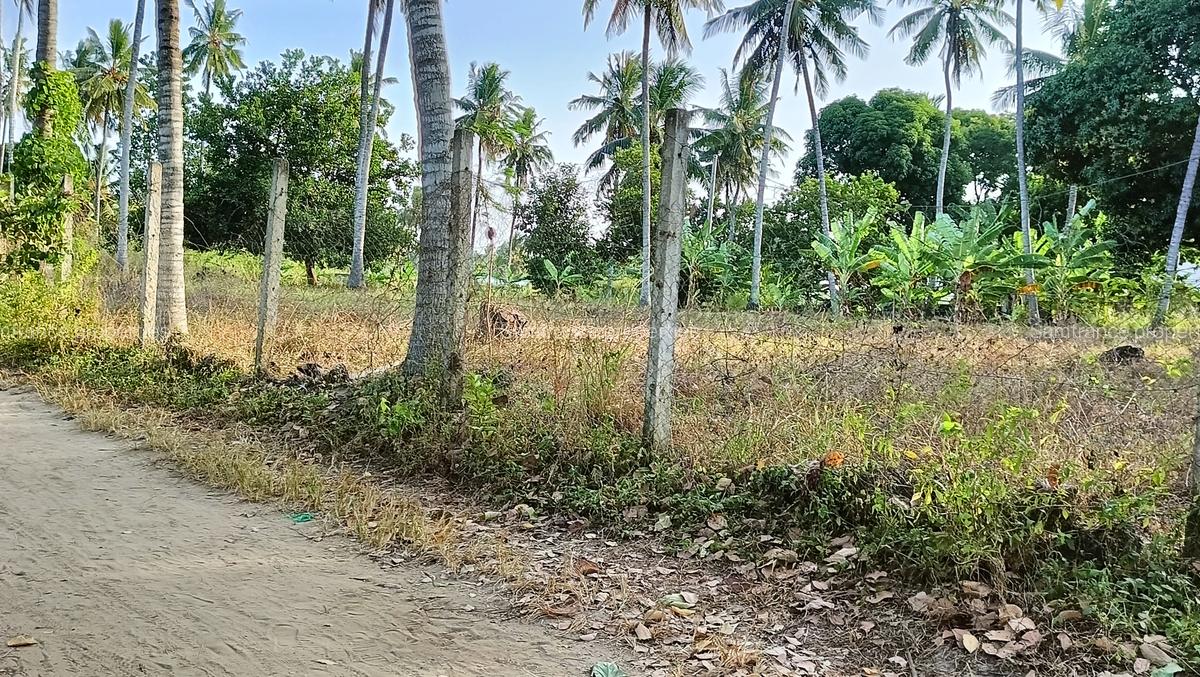 15 ac Land at Bomani - 4