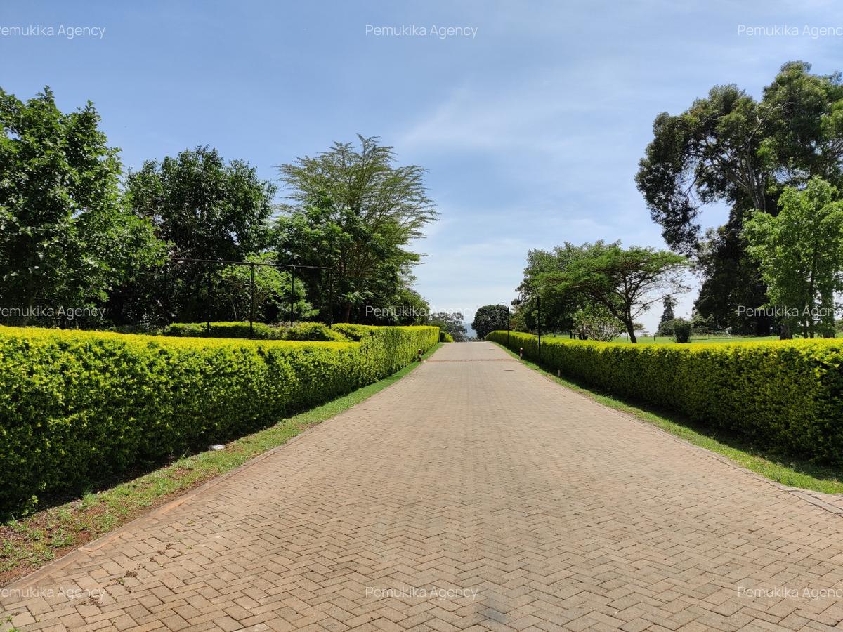 Residential Land at Karen The Hip Road - 12