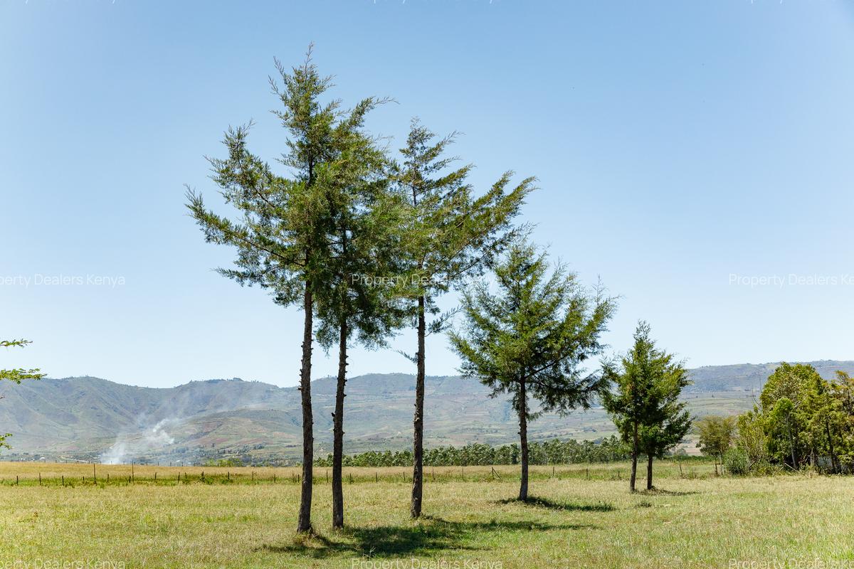 Residential Land at Moi South Lake Road - 16