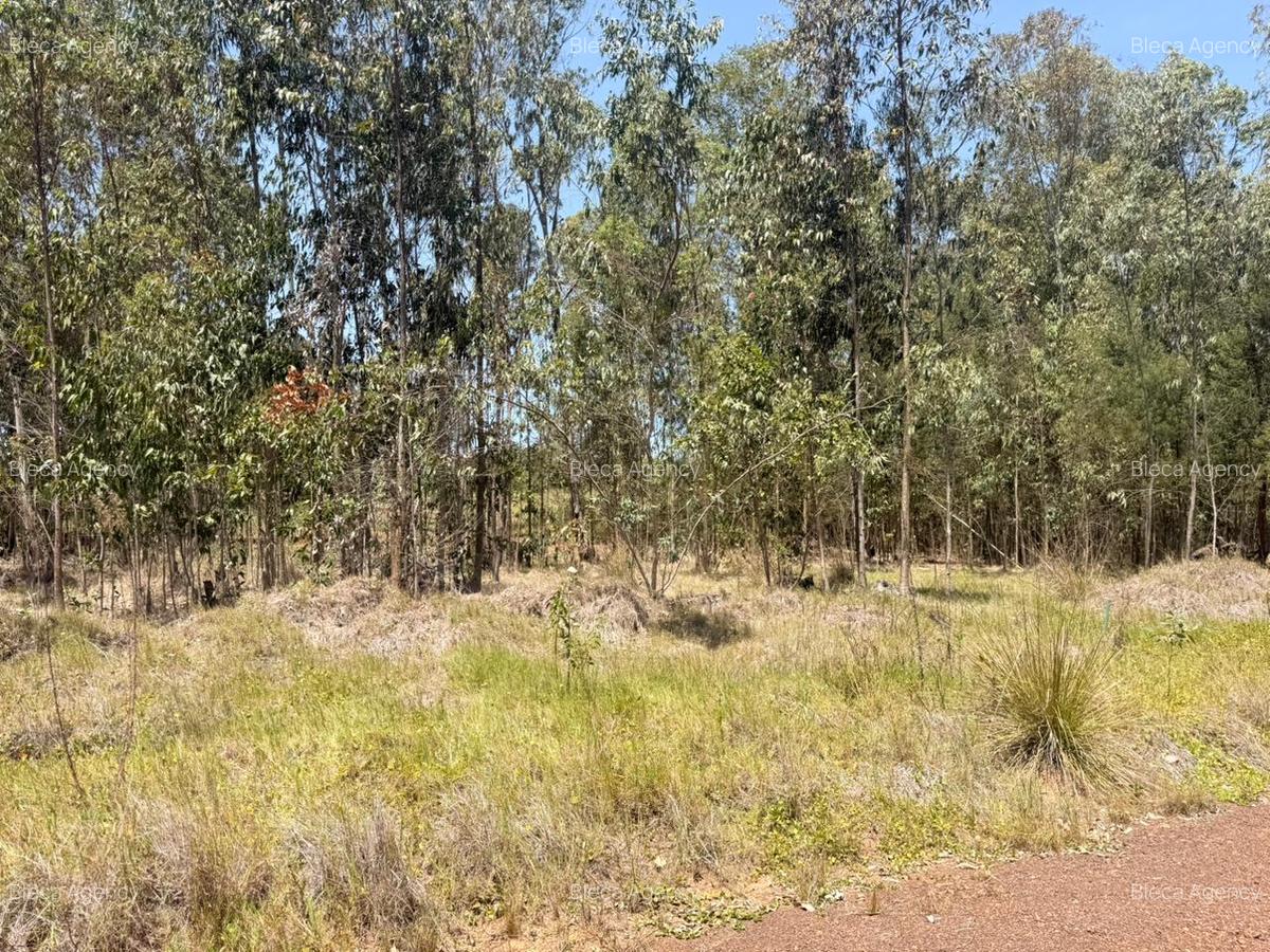 500 m² Land at Ruiru-Githunguri Road - 16