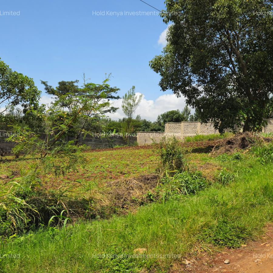 0.5 ac Land in Thome - 7