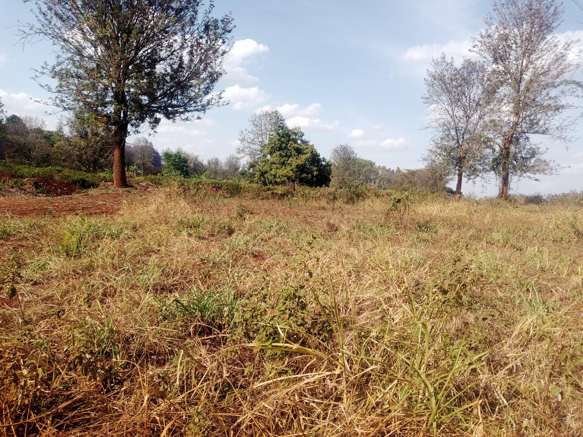 20 ac Land at Kentmare - 1