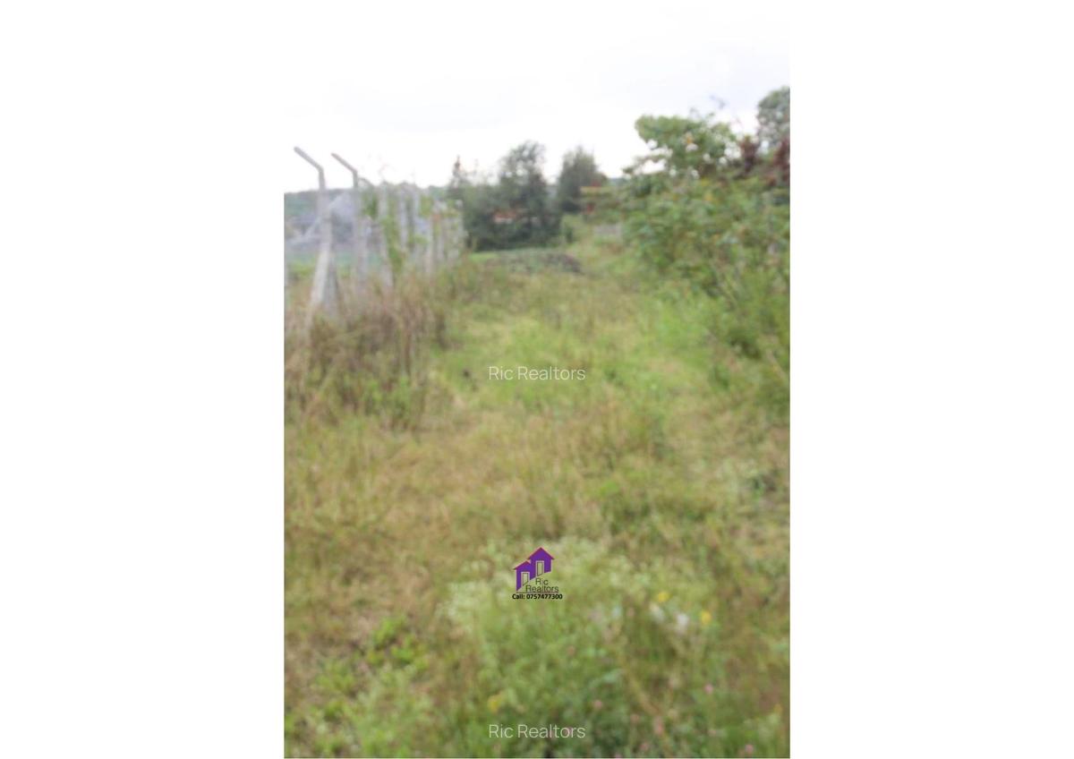 0.10 ha Land at Rimpa Road - 5