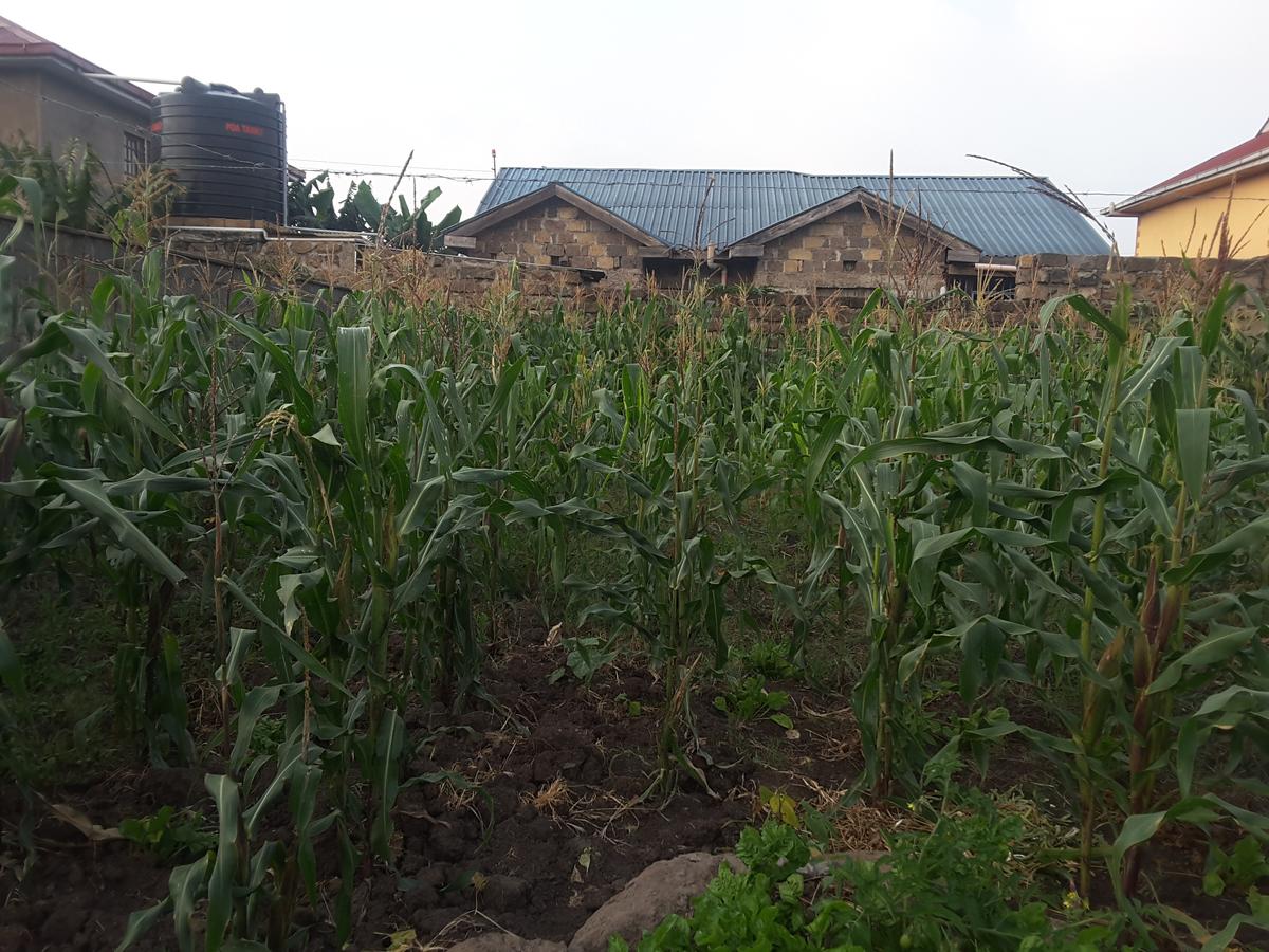 0.0123 ac Land in Ongata Rongai - 7