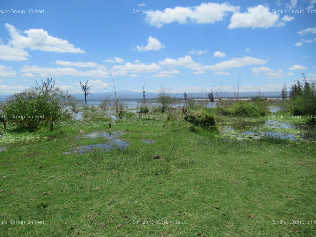 25 ac Land at Moi S Lake Rd - 3