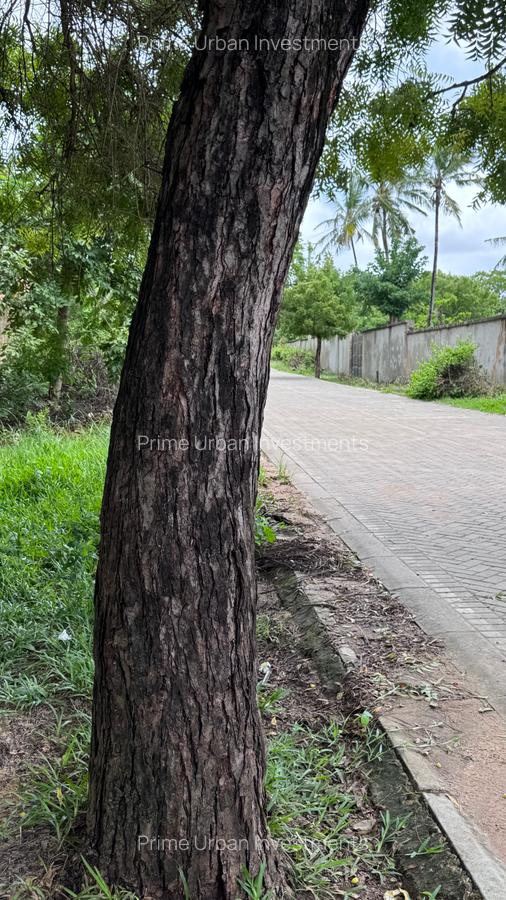 2,023 m² Land at Diani Beach - 5