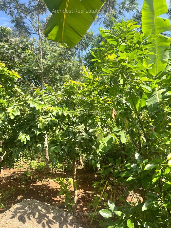 2 ac Land at Karingani - 7