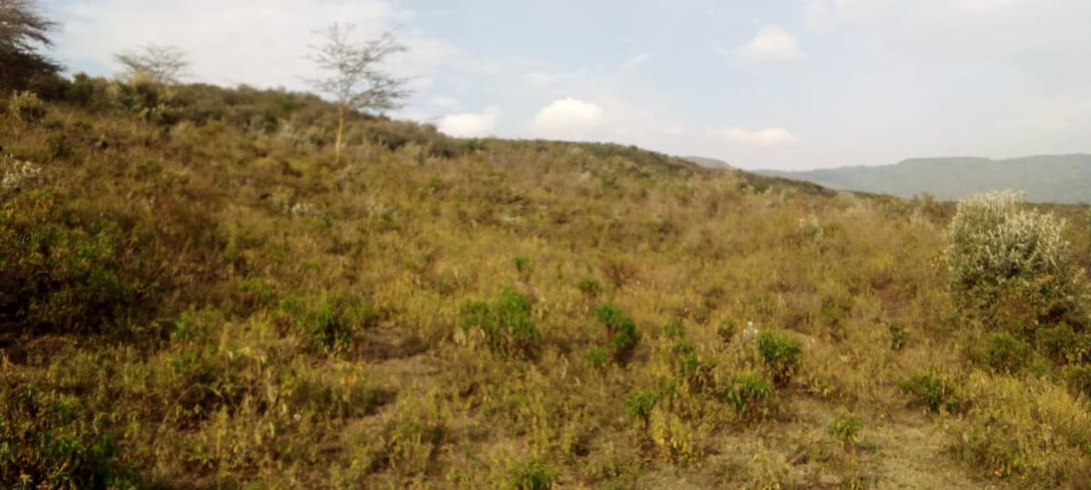 1 ac Land at Mai Mahiu - 5