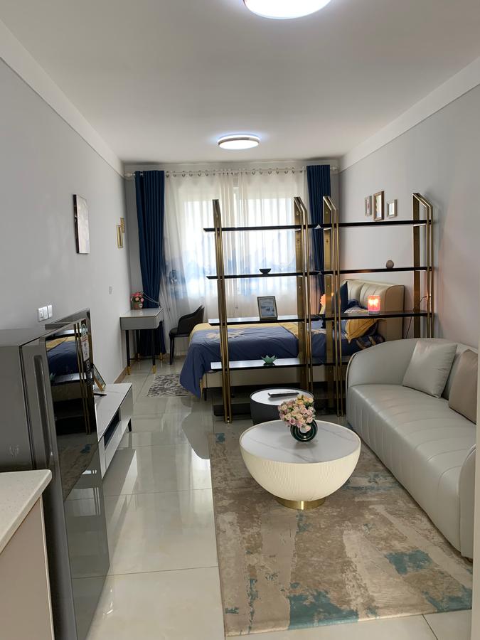 Studio Apartment with Gym at Mombasa Road - 2