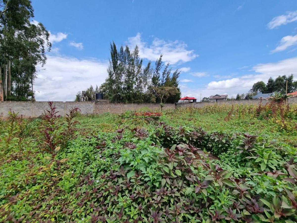 0.05 ha Residential Land in Gikambura - 4