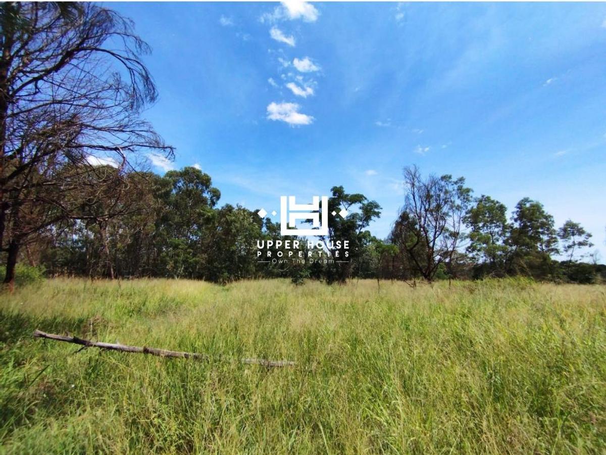 12.5 ac Land at King'Ong'O - 3