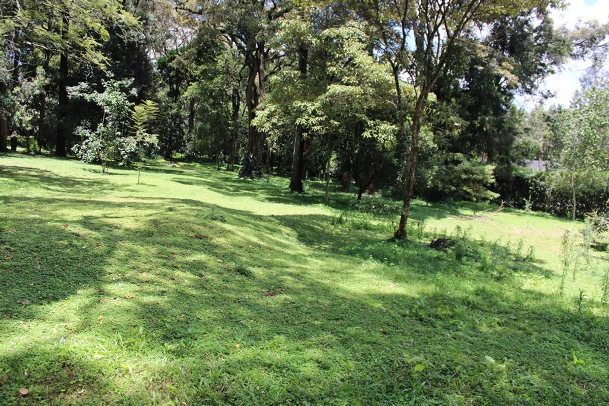 Land in Karen - 3