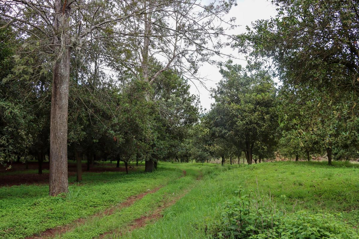 0.25 ac Land at Thika -Gatanga Road - 7