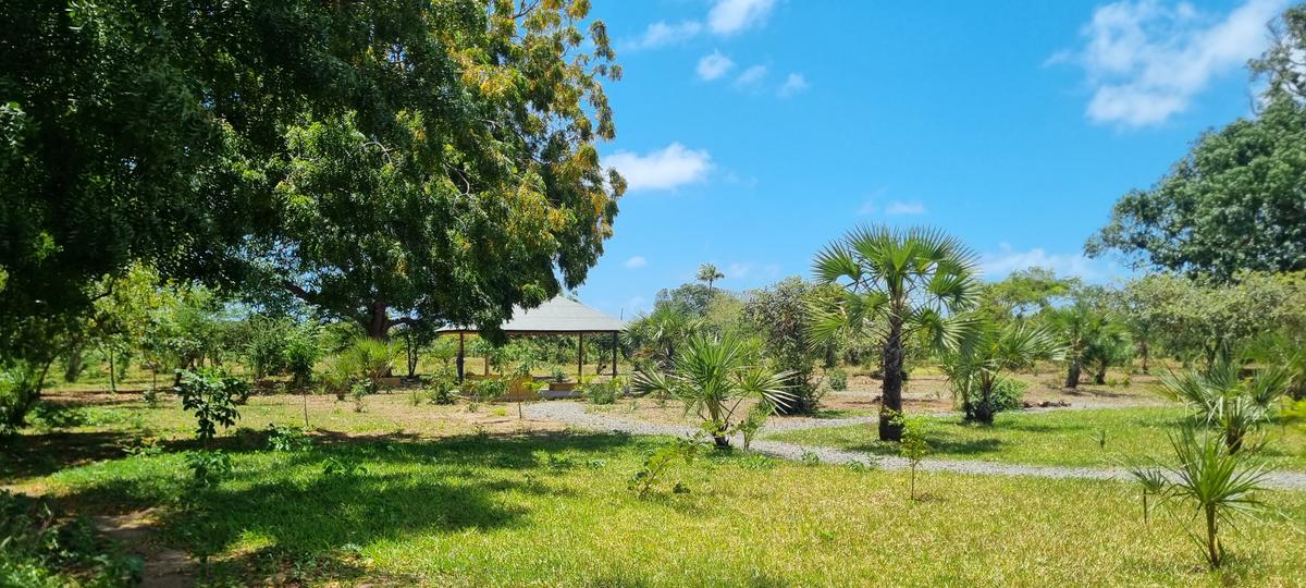 1,000 m² Land at Kuruwitu - 7