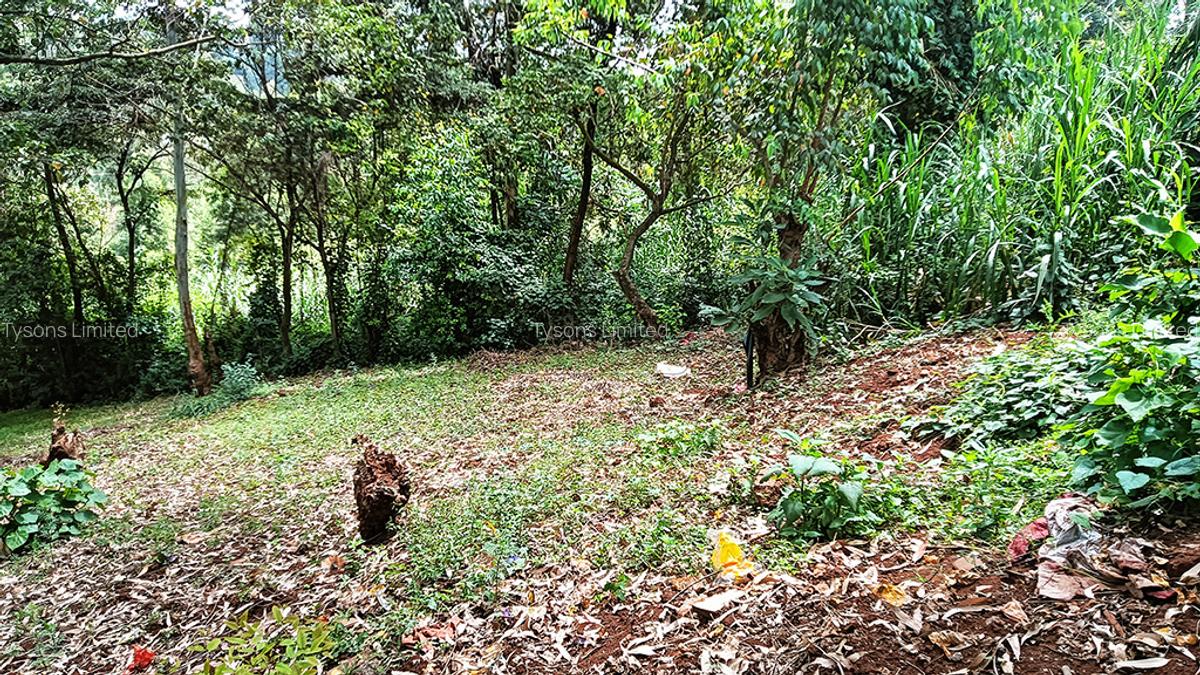 0.741 ac Land in Ruaka - 4