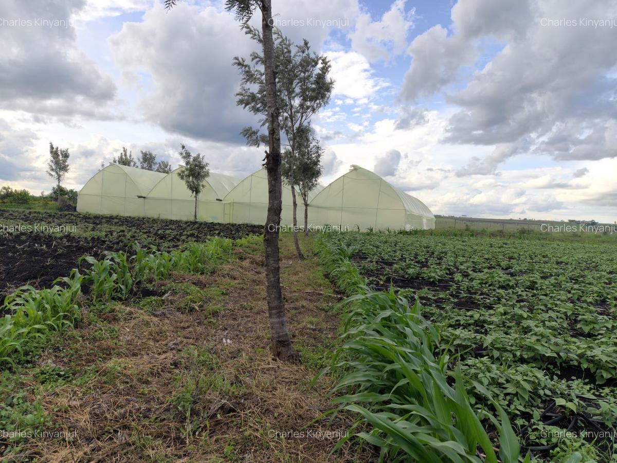 10.75 ac Land at Kisaju - 14