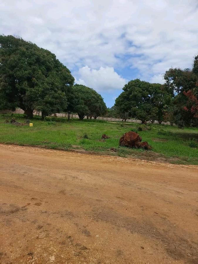 450 m² Land at Mtwapa - 9