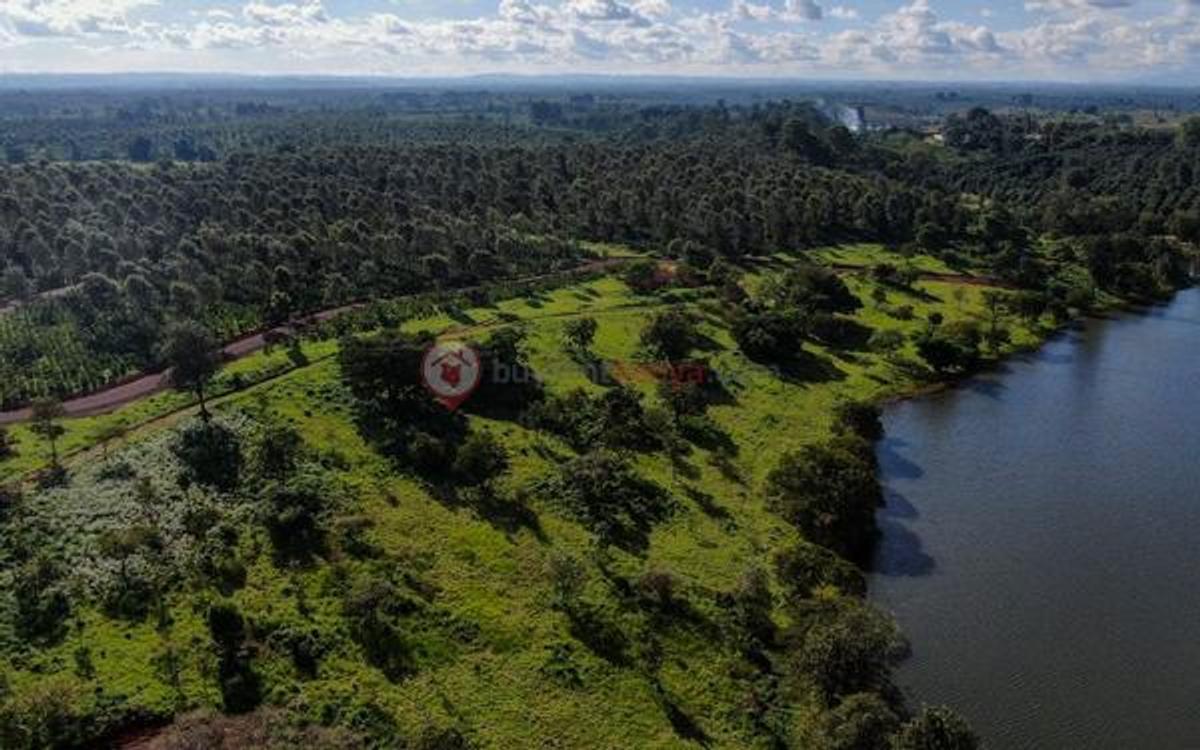 0.125 ac Land at Tatu City - 3