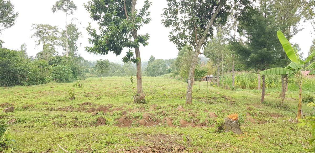 Residential Land at Mokoyot Close - 17