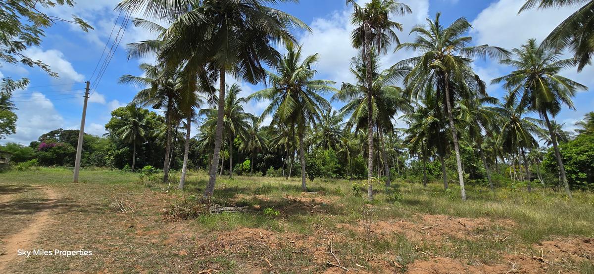 6 ac Land at Bomani - 2