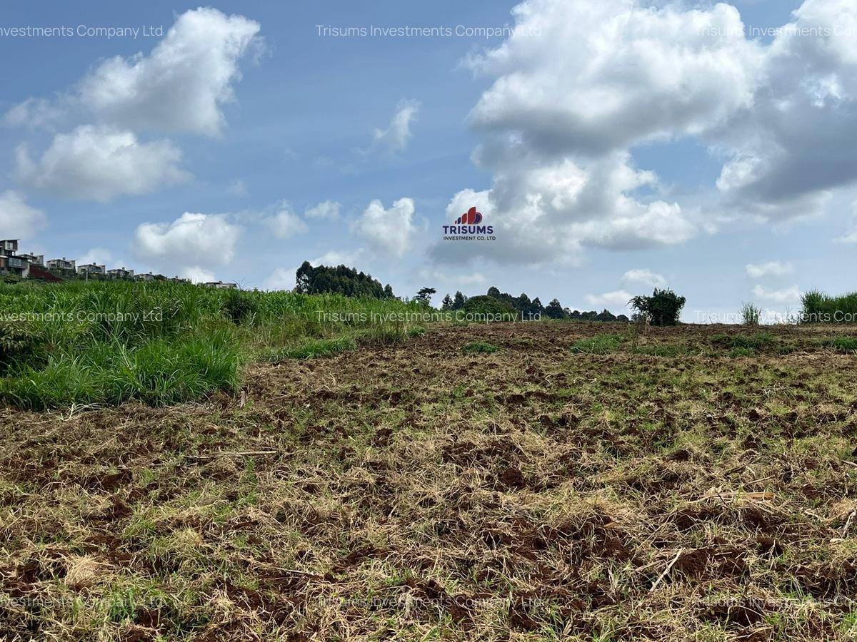 10 ac Land at Tigoni - 6