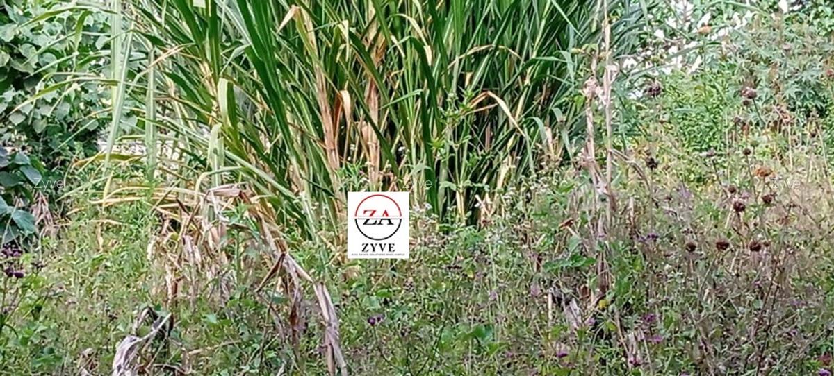 1 ac Residential Land at Runda Area - 4