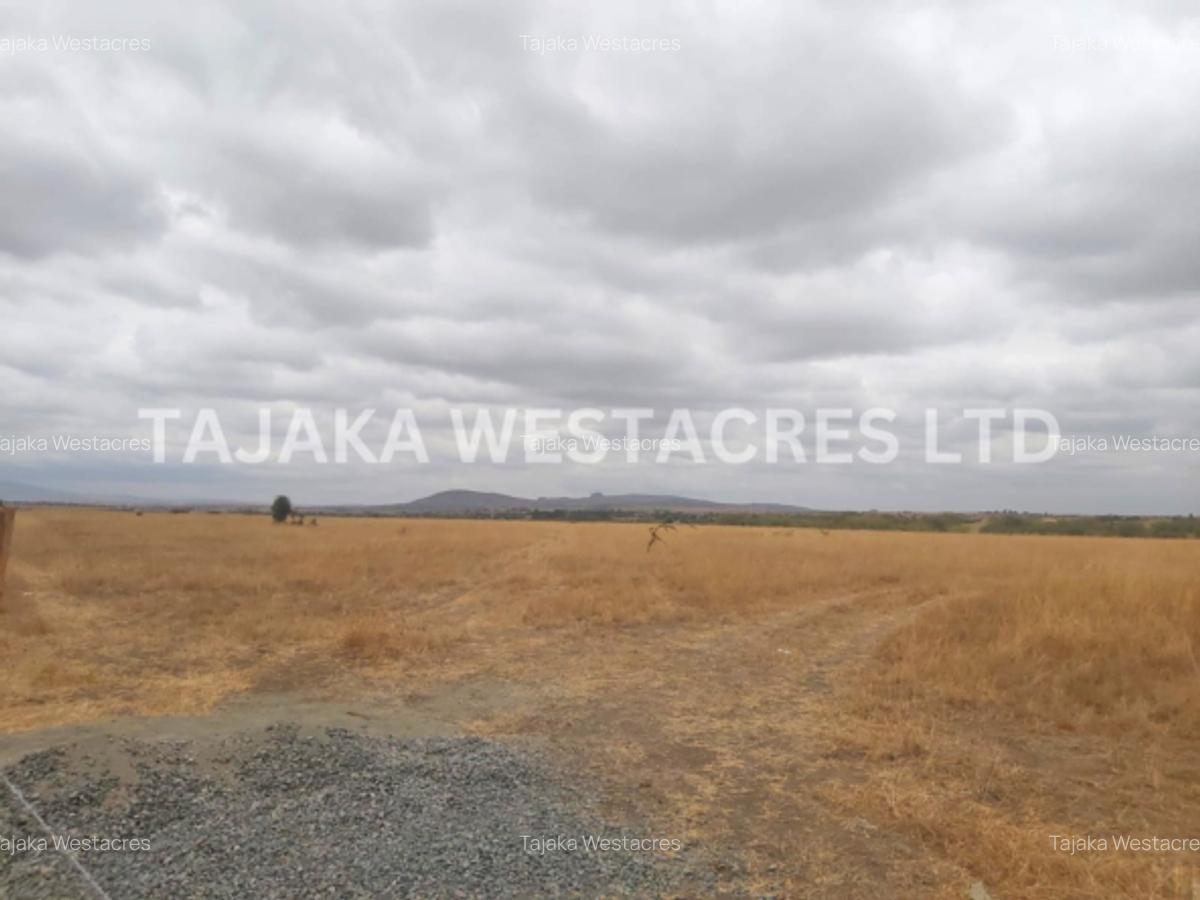 36 ac Land at Joska - 3