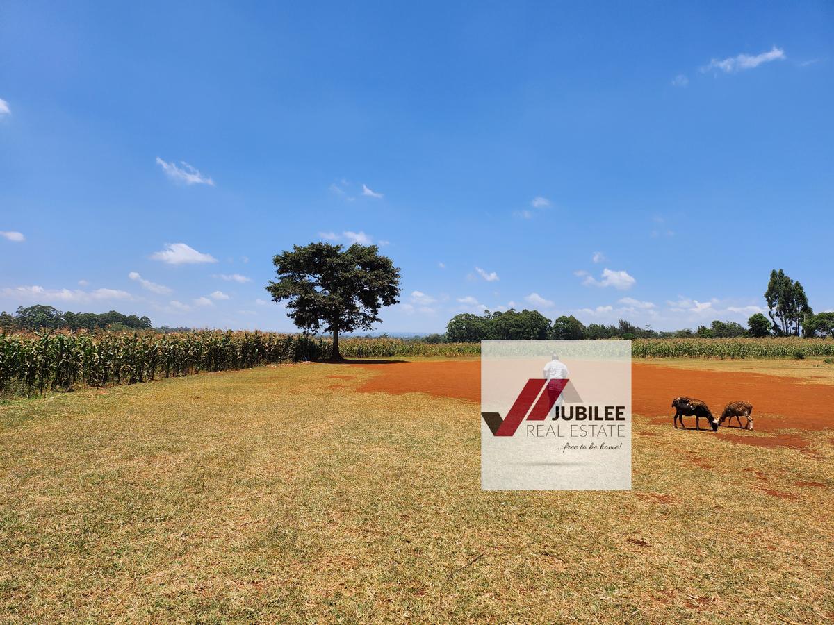 25 ac Land in Kitisuru - 3