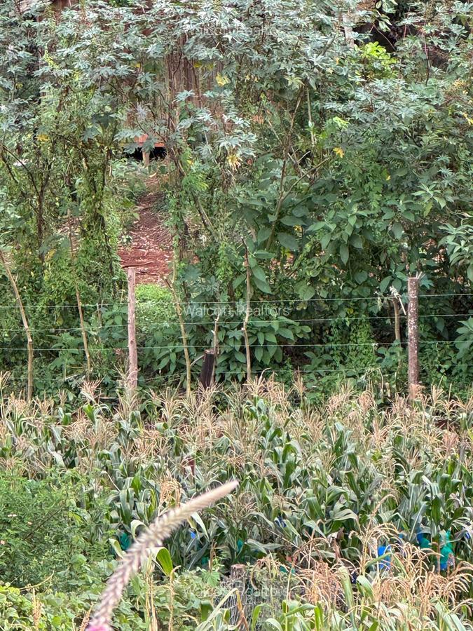 Land in Nyeri - 3