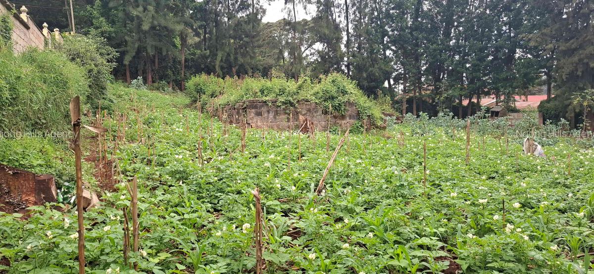 Commercial Land in Ngong - 3