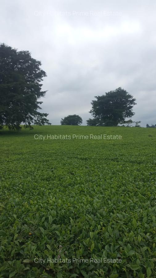 3 ac Land in Limuru - 2