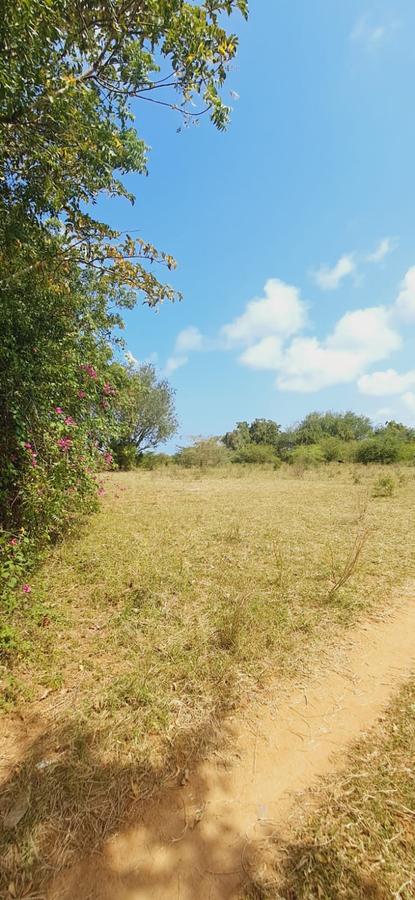 Land in Kilifi - 7