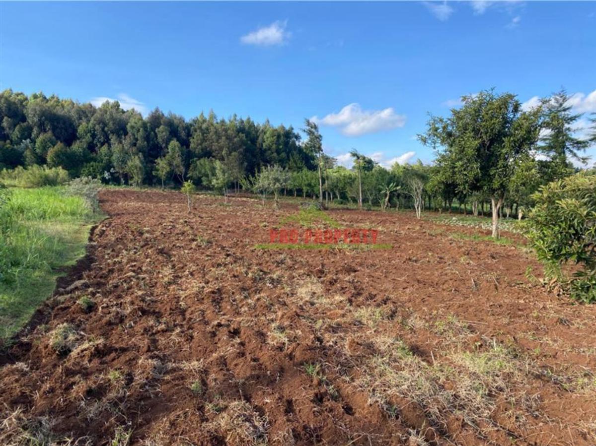 6,000 m² Land in Limuru - 16