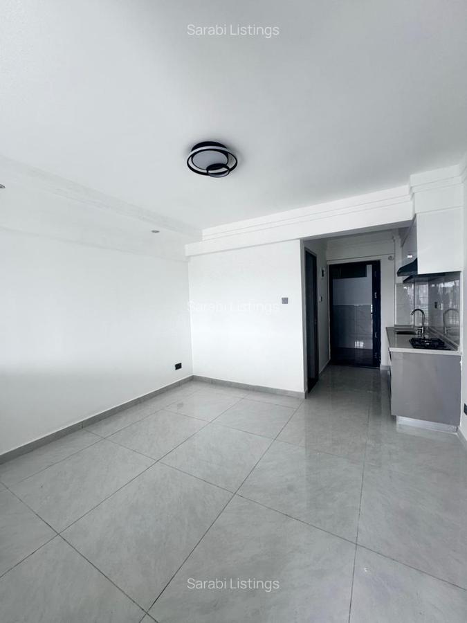 1 Bed Apartment with En Suite in Westlands Area - 3