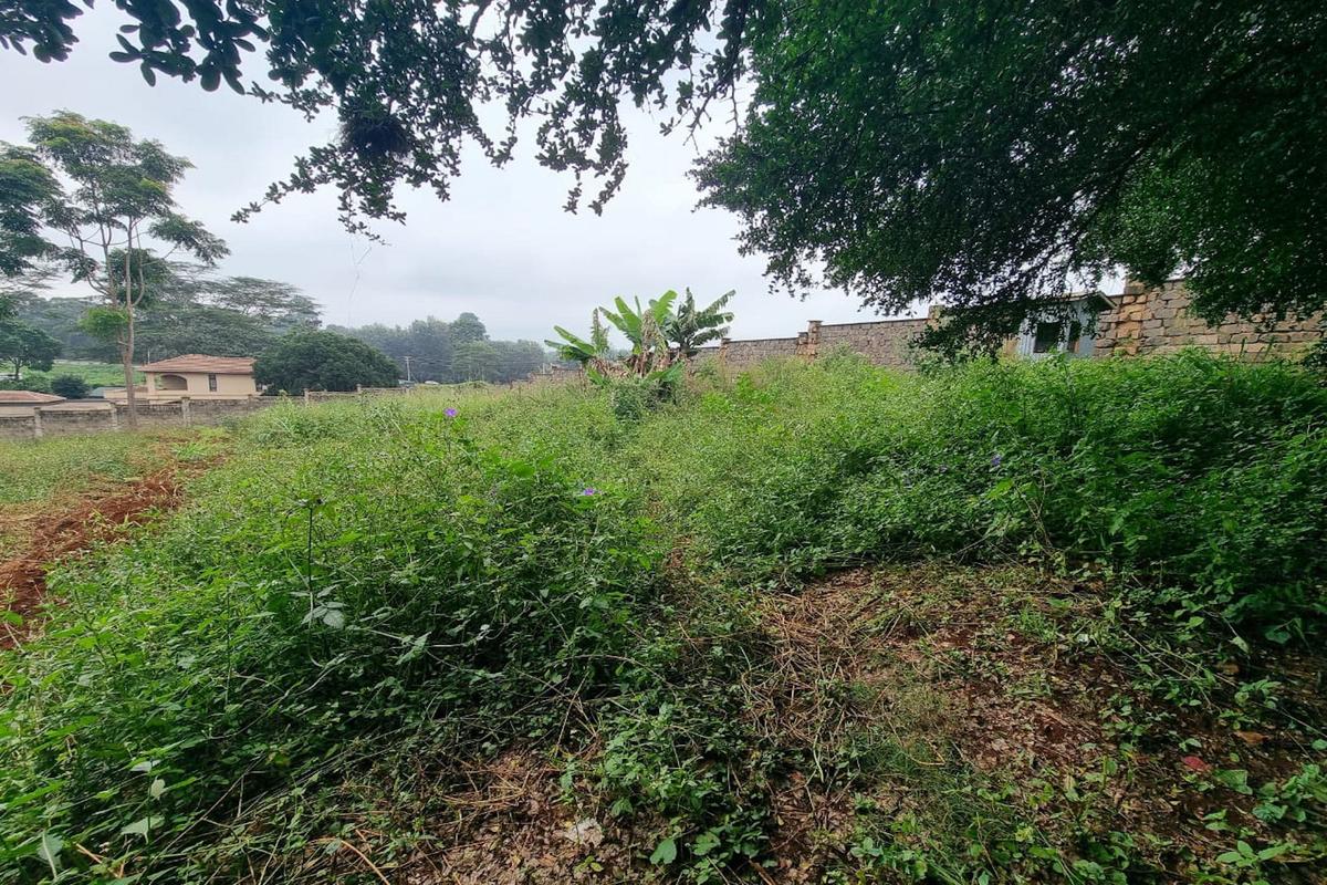 Residential Land in Runda - 5