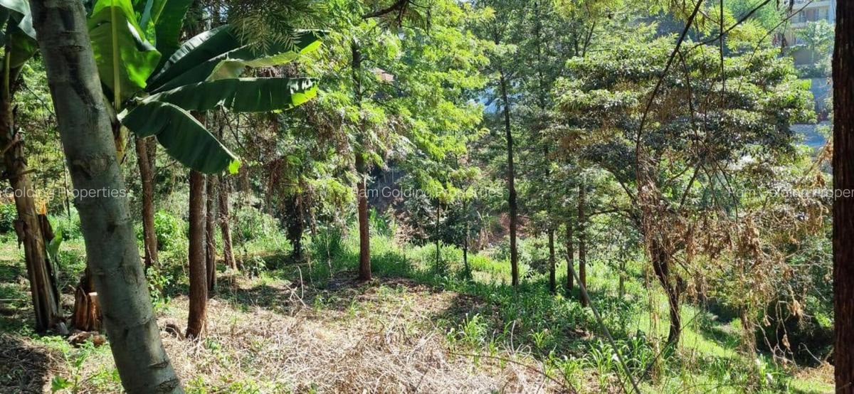 0.5 ac Land at Kirawa Road - 4