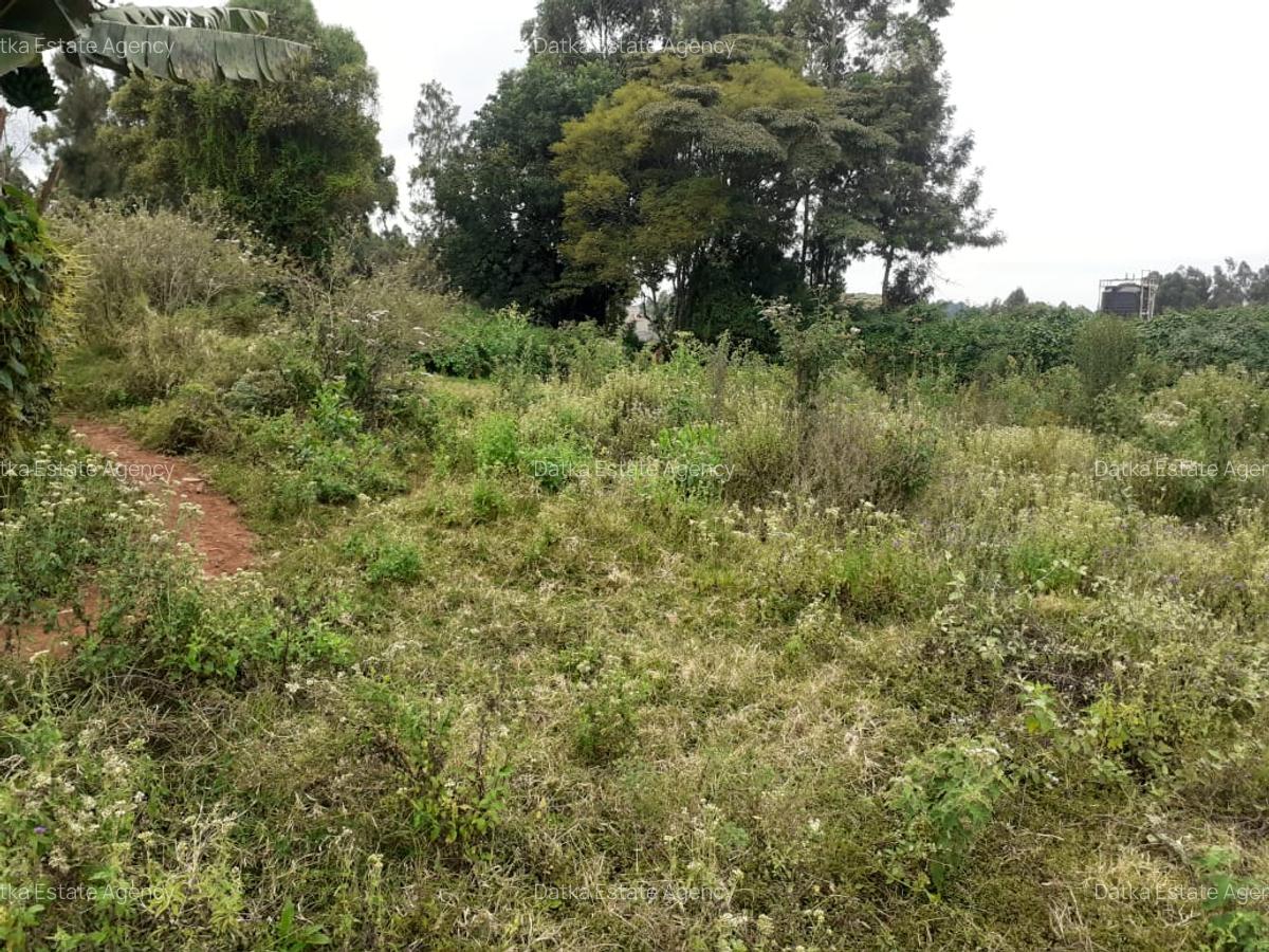 0.125 ac Land in Kikuyu Town - 15