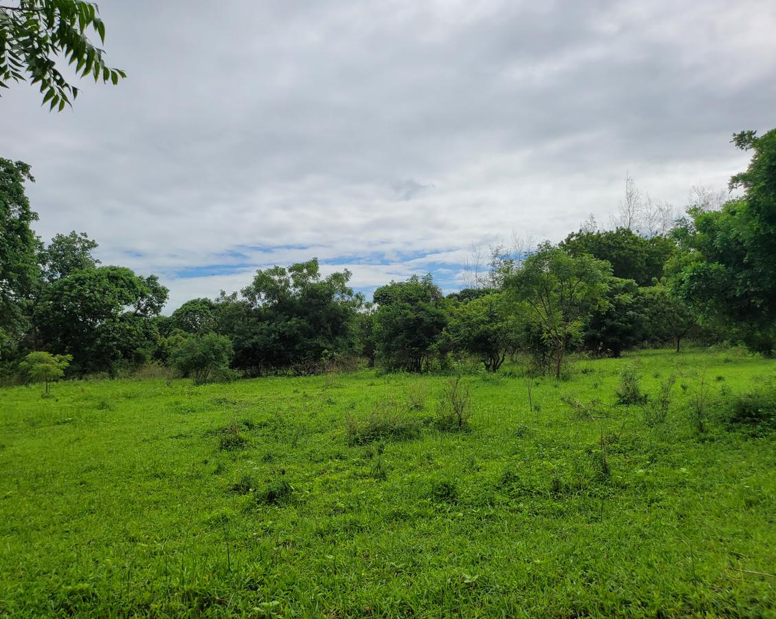 Commercial Land in Mtwapa - 2