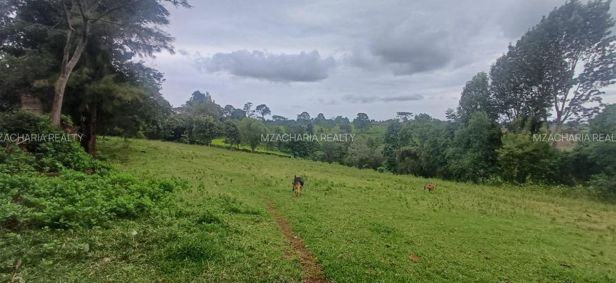 6 ac Land in Tigoni - 10