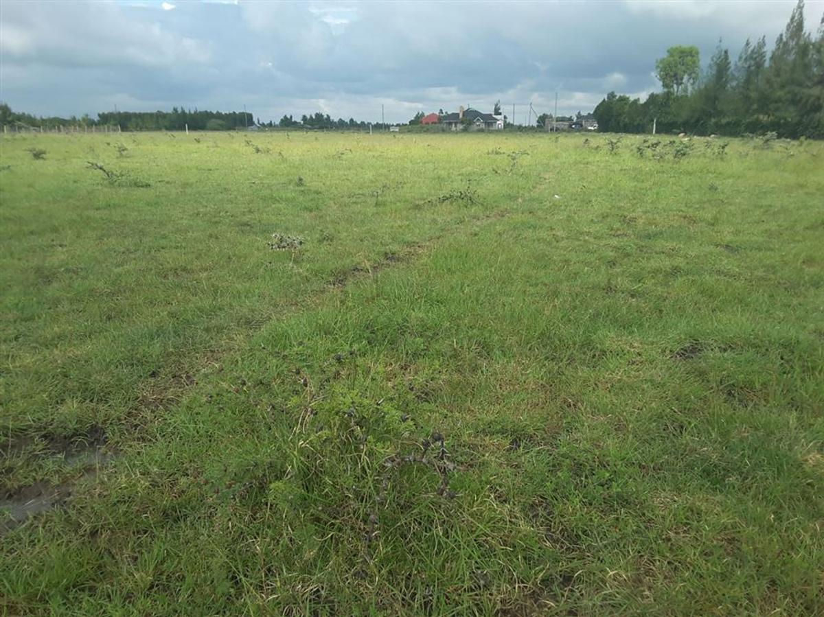 0.1 ac Residential Land in Ongata Rongai - 1