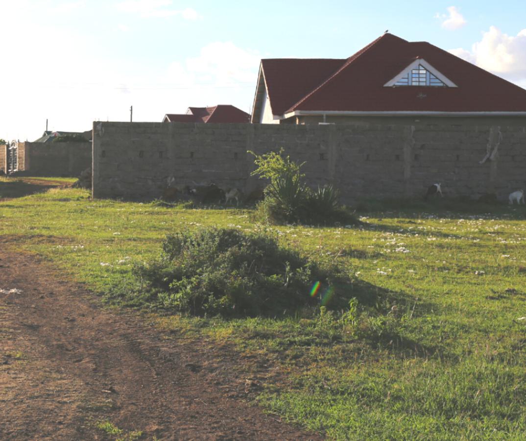 0.125 ac Residential Land at Kamakis - 1