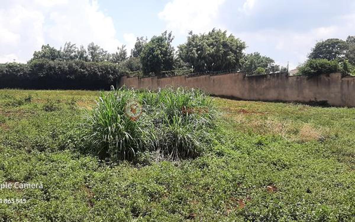 Residential Land at Runda Mumwe - 8