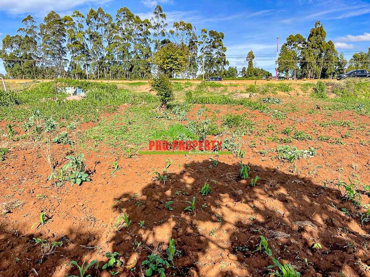 0.1 ha Commercial Land at Muguga - 10